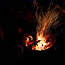 Wassail 2024