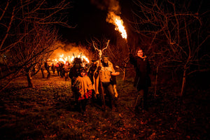 Wassail Images / Cheese Tease