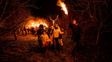 Wassail Images / Cheese Tease