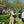 Cidery Tour & Tasting