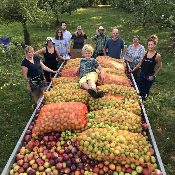 From Branch to Bottle - an Introduction to Cider Making