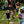 Waking The Cider Festival 2027