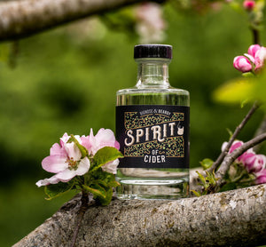 Spirit of Cider