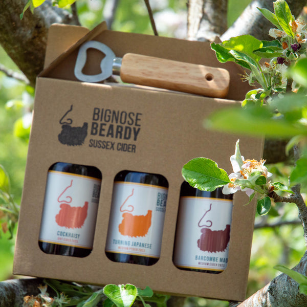 Three bottles of Sussex cider in a cardboard box with a bottle opener, surrounded by greenery.