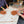 Waking the Cider June 27th 2026 - Cider and Craft Festival