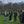 Pruning Course Feb 6th 2027