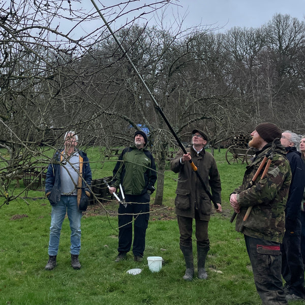 Pruning Course Feb 6th 2027