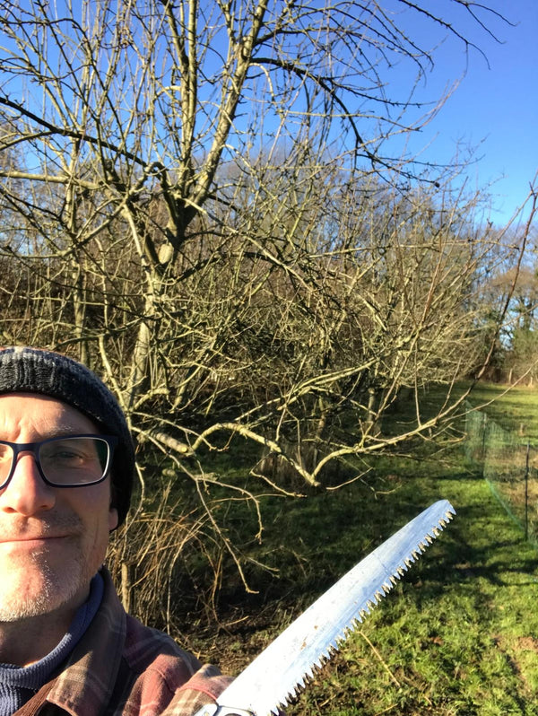 Pruning Course 7th Feb 2026