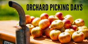 Orchard Picking Days